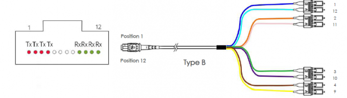 Le câble OM3 MTP de tronc de MTP femelle 4 à Sc UPC duplexent 8 fibres le câble 2 de correction d'évasion de 50/125 harnais