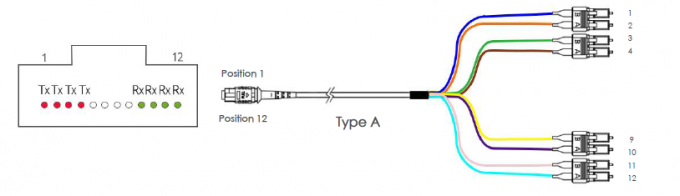 Le câble OM3 MTP de tronc de MTP femelle 4 à Sc UPC duplexent 8 fibres le câble 1 de correction d'évasion de 50/125 harnais